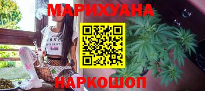 сатива Кингисепп