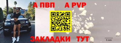 сатива Кингисепп