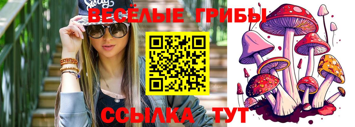 Псилоцибиновые грибы ЛСД  Вход с VPN  Лянтор  Галлюциногенные грибы ЛСД 